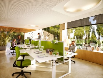 Биофильный дизайн офисных пространств